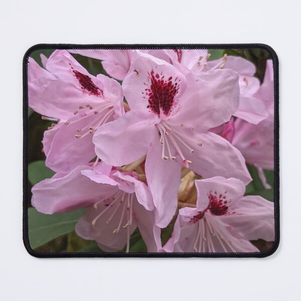Item preview, Soft Pink Rhododendron designed and sold by webgrrl.