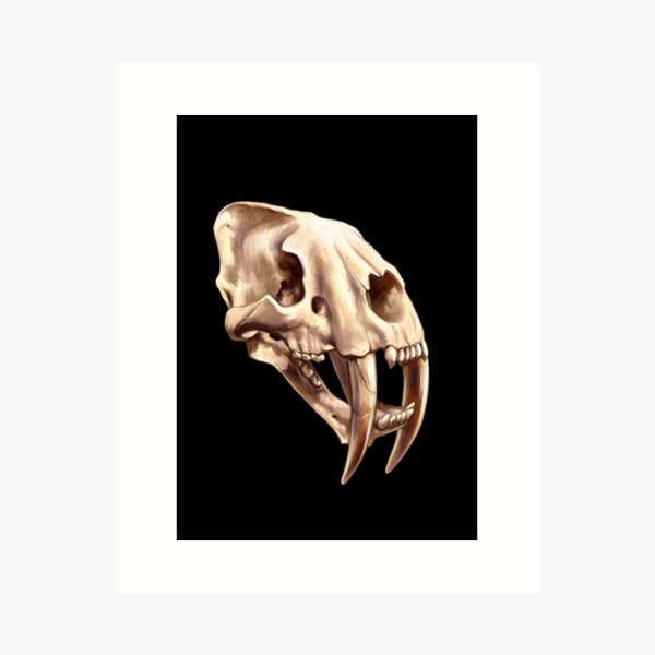 Item preview, Smilodon Skull designed and sold by Pip Tacla.