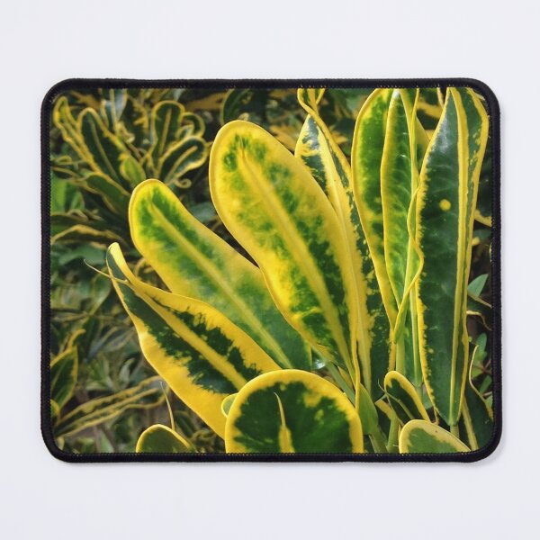 Item preview, Tropical Zest designed and sold by PoetInADaydream.
