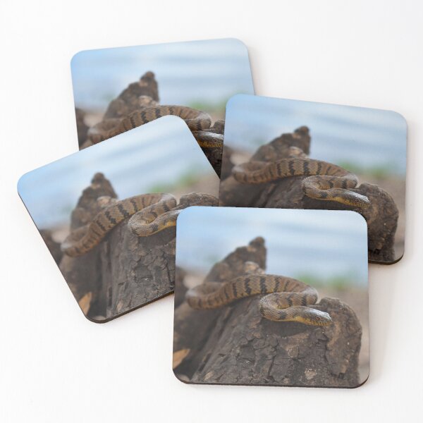 Item preview, Diamondback Water Snake Print designed and sold by Paul-Prints.
