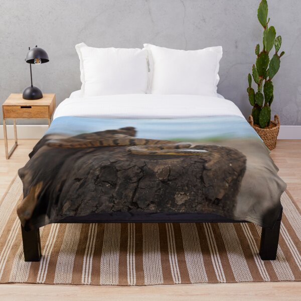 Item preview, Diamondback Water Snake Print designed and sold by Paul-Prints.