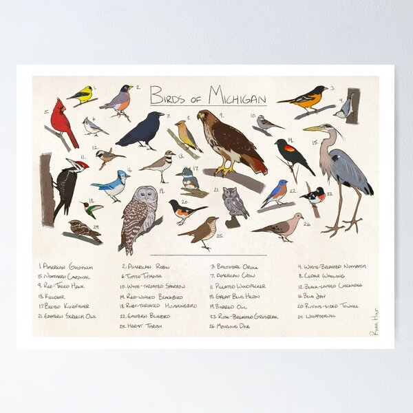 Item preview, Birds of Michigan guide designed and sold by RiverHoltArt.
