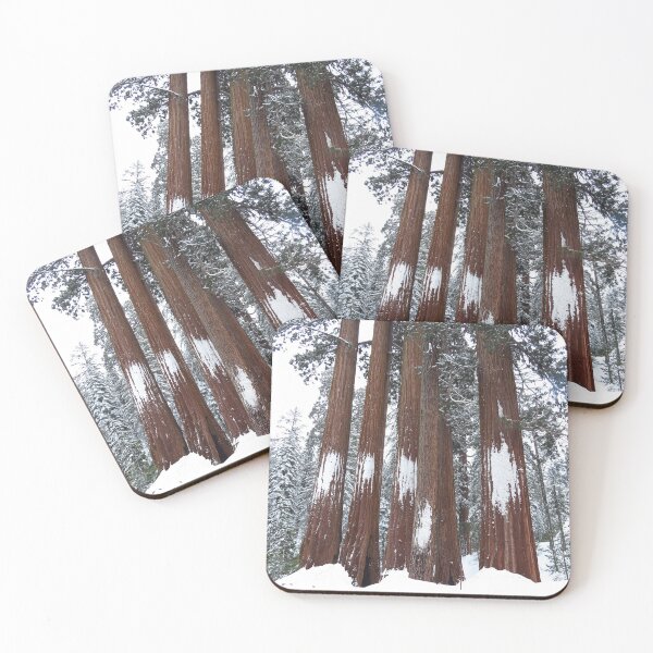 Item preview, Giant Sequoia Trees in the Snow designed and sold by happynaturalist.
