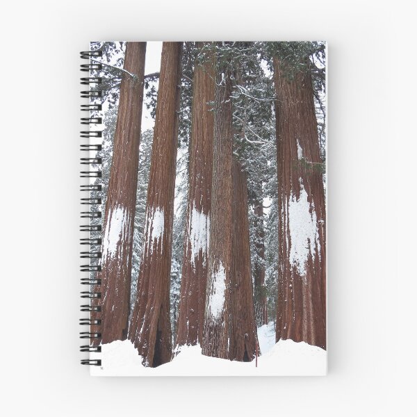 Item preview, Giant Sequoia Trees in the Snow designed and sold by happynaturalist.