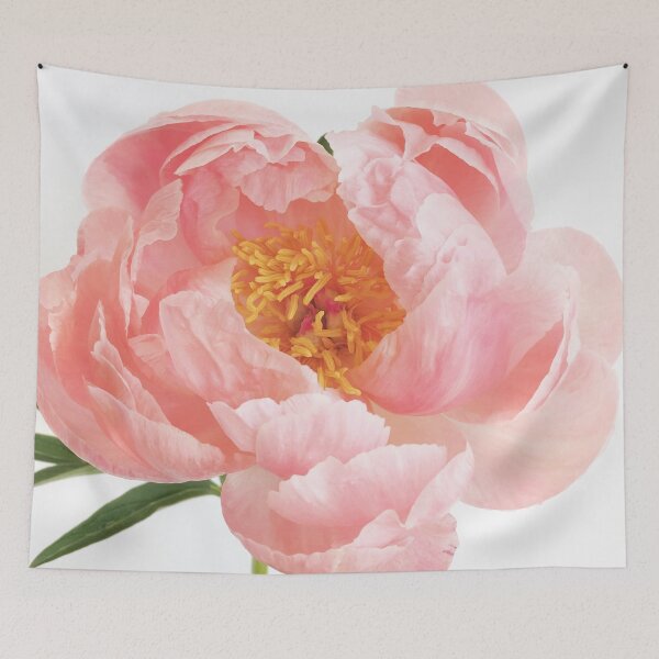 Item preview, Blush designed and sold by Cassia Beck.