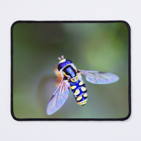 Item preview, Buzzing around designed and sold by imaginethis.