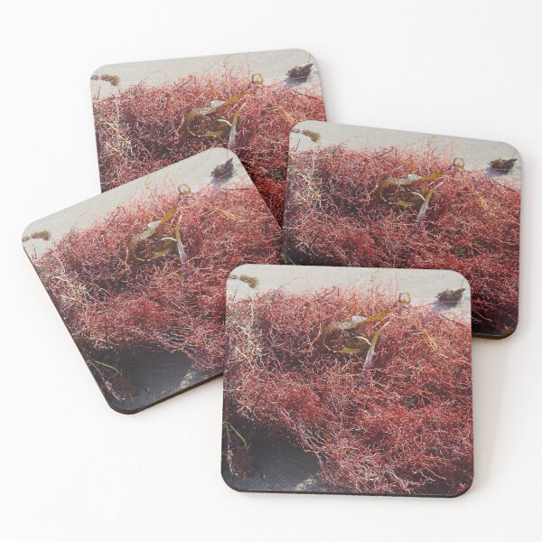 Item preview, A Red Tangle Of Seaweed on Shoalwater Beach, WA designed and sold by lezvee.