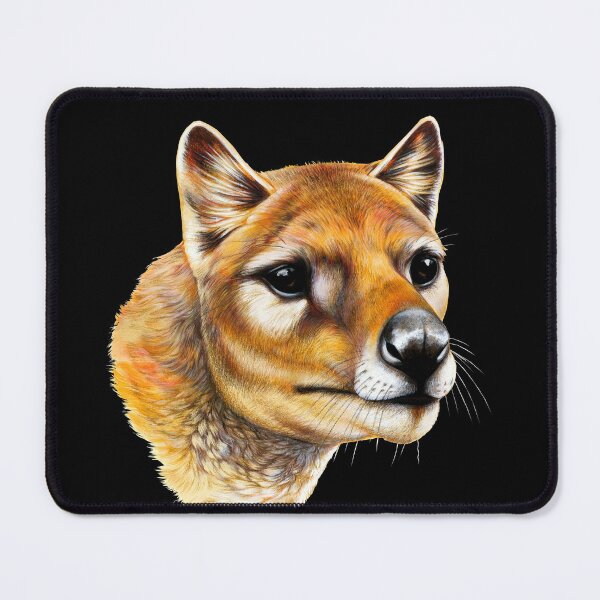 Item preview, Tasmanian Tiger (Thylacine) Portrait designed and sold by Pip Tacla.