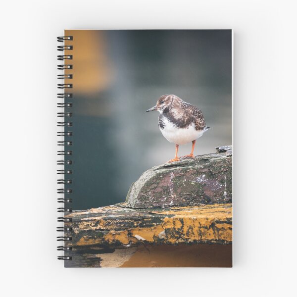 Item preview, RUDDY TURNSTONE II designed and sold by Andrew Hocking.