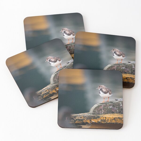 Item preview, RUDDY TURNSTONE II designed and sold by Andrew Hocking.