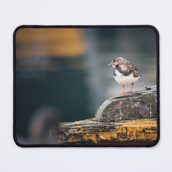 Item preview, RUDDY TURNSTONE II designed and sold by Andrew Hocking.