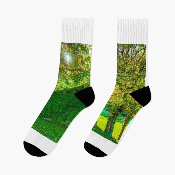 Item preview, Tree and House on the Field with sunlight in Autumn designed and sold by Mats Silvan.
