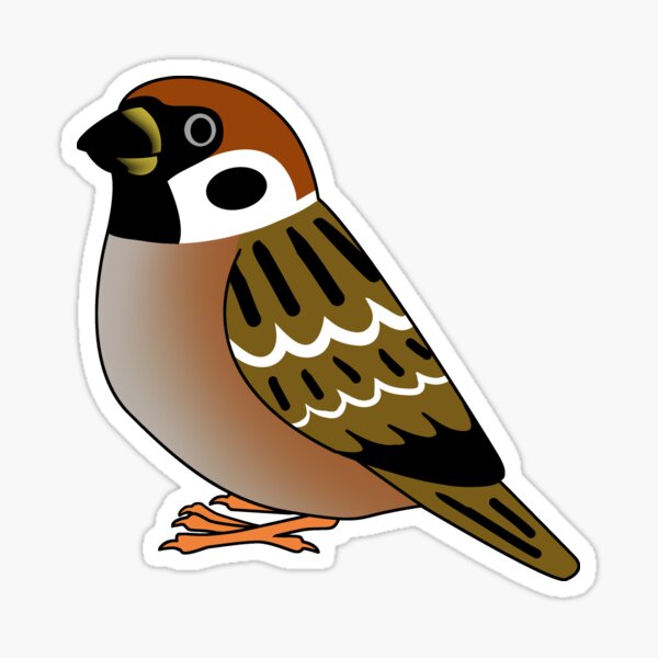 Cute eurasian tree sparrow cartoon drawing