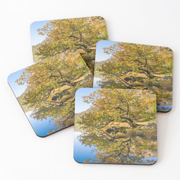 Item preview, Rydal Water, English Lake District designed and sold by Craig Joiner.