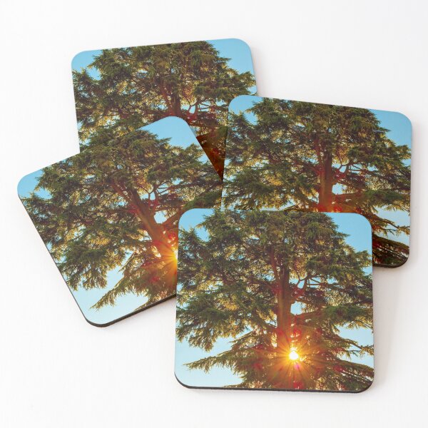 Item preview, Tree with Sunbeam and Clear Sky designed and sold by Mats Silvan.