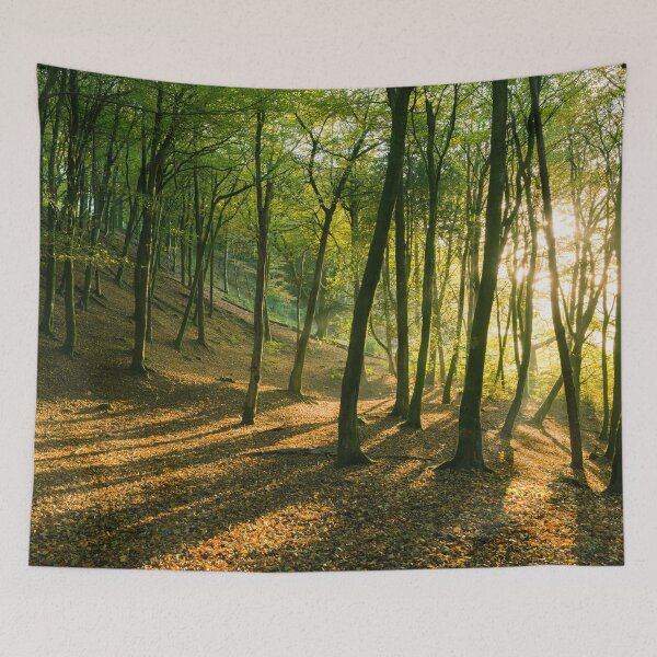 Item preview, Woodland Sunrise designed and sold by Craig Joiner.