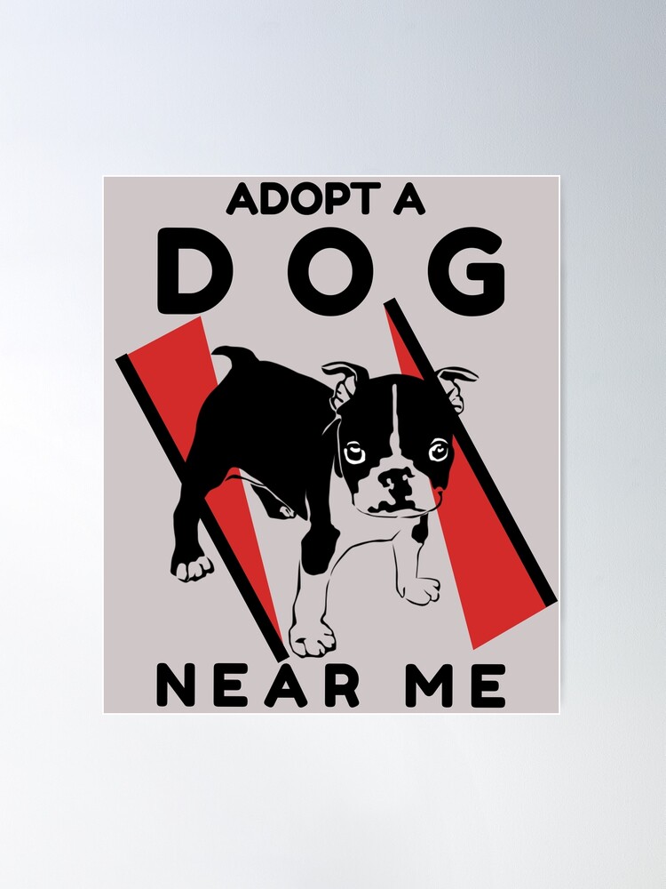 Adopt a dog near me. Adopt me please Fitted Scoop  Poster for