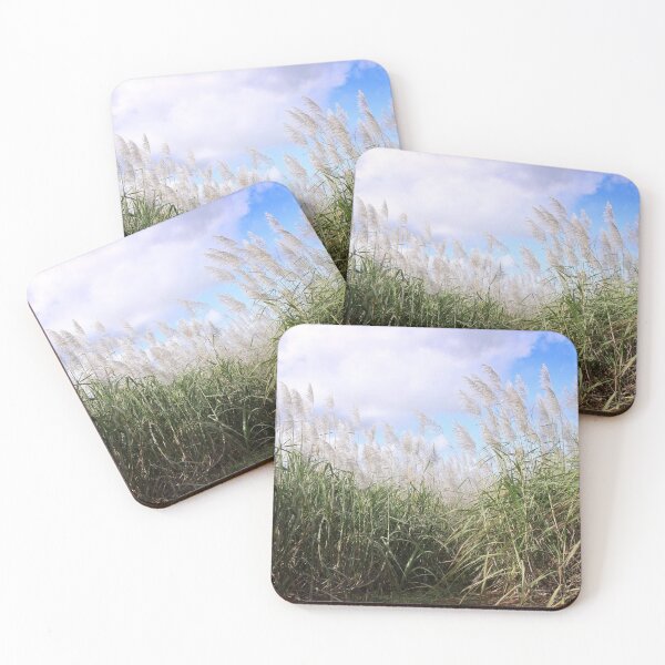 Item preview, Blooming sugarcane plants designed and sold by rajeshbac.