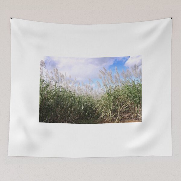 Item preview, Blooming sugarcane plants designed and sold by rajeshbac.
