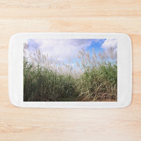 Item preview, Blooming sugarcane plants designed and sold by rajeshbac.