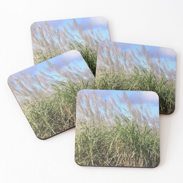 Item preview, Blooming sugarcane plants designed and sold by rajeshbac.