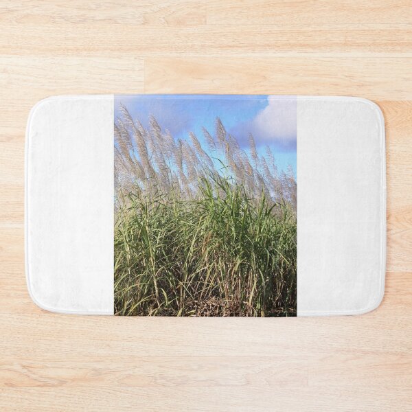 Item preview, Blooming sugarcane plants designed and sold by rajeshbac.