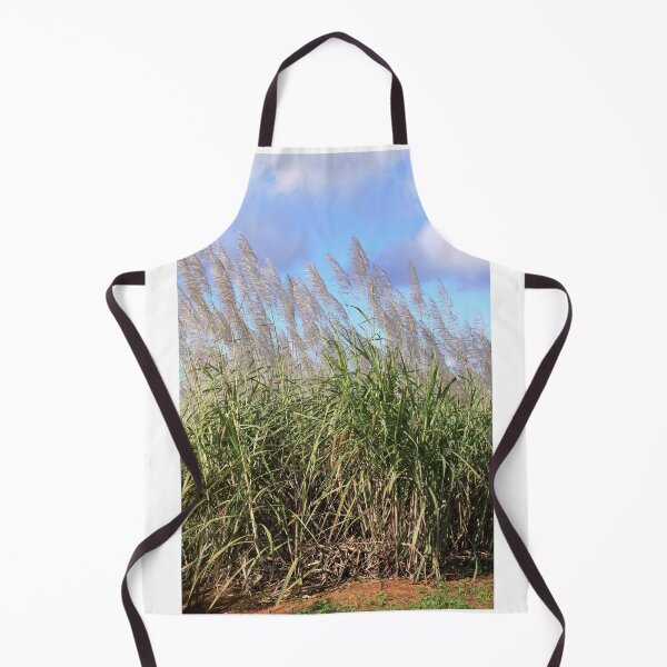 Aperçu de l'œuvre Blooming sugarcane plants créée et vendue par rajeshbac.