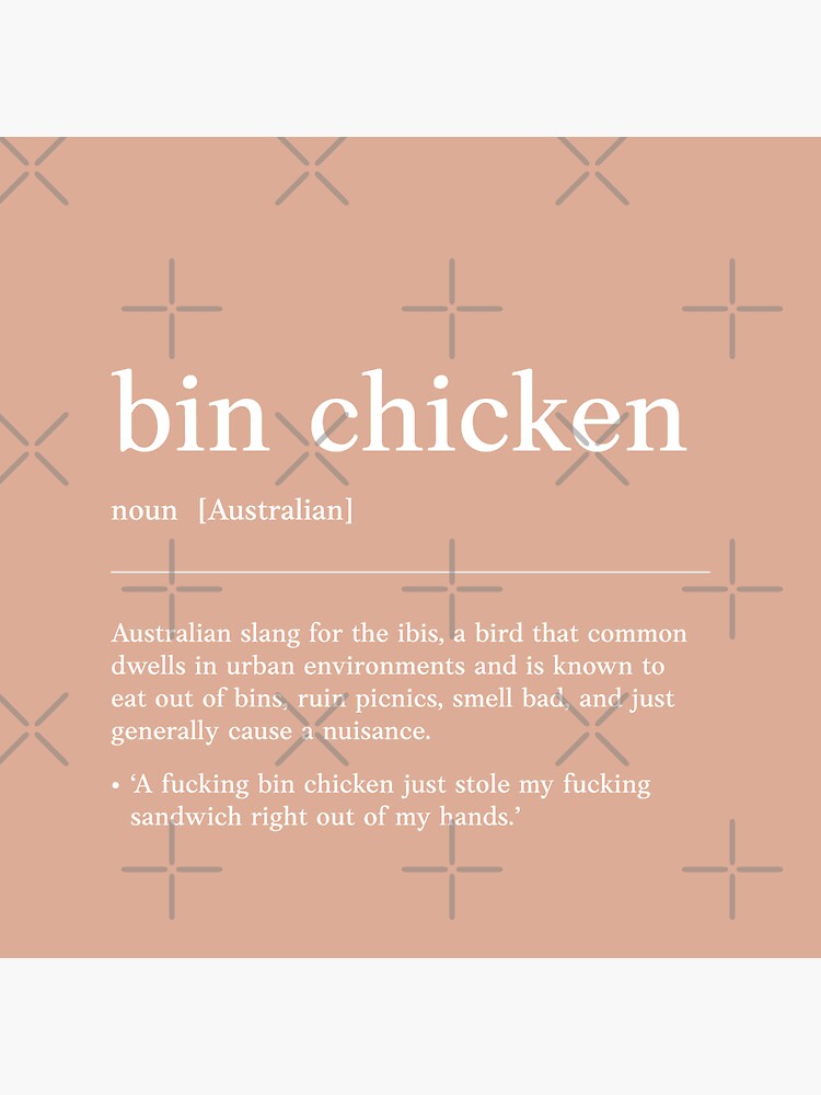 "Bin Chicken Ibis Funny Australian slang, phrase and humor