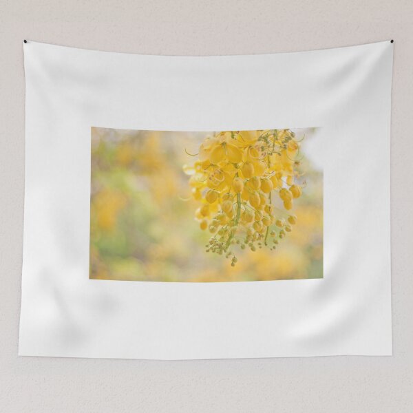 Item preview, Golden Shower ( cassia Fistula ) designed and sold by rajeshbac.
