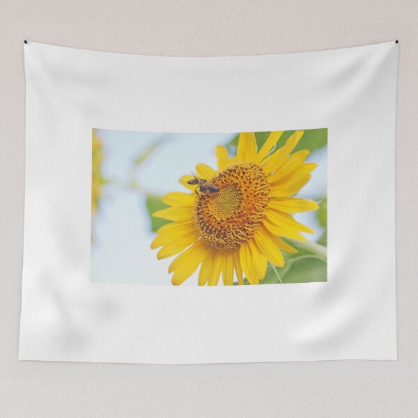 Item preview, Sunflower (Helianthus annuus)  designed and sold by rajeshbac.