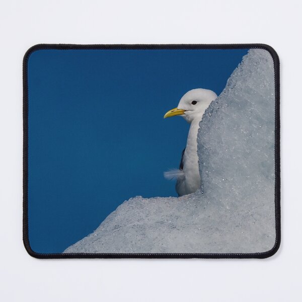 Item preview, Peeping Kittiwake designed and sold by Kevin Tappenden.