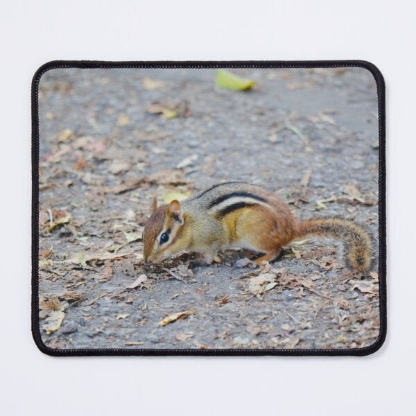 Item preview, Cute chipmunk on the path designed and sold by NorthernSnappy.
