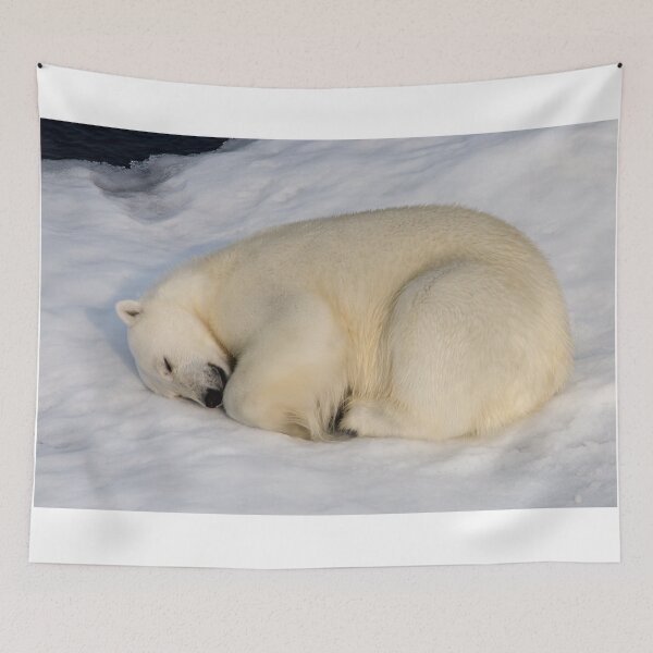 Item preview, Sleeping Polar Bear designed and sold by Kevin Tappenden.