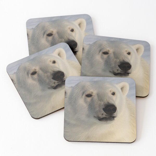 Item preview, Polar Bear Close Up designed and sold by Kevin Tappenden.
