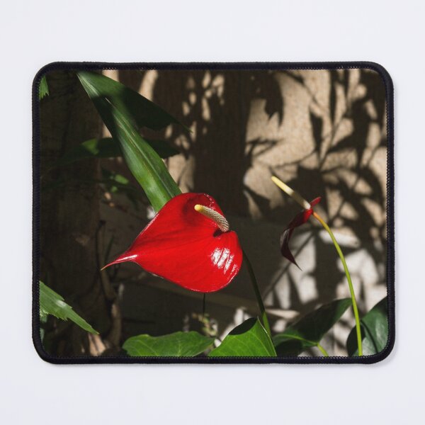 Item preview, Glossy Scarlet Heart in the Shadows - an Elegant Anthurium Flower designed and sold by Georgia Mizuleva.