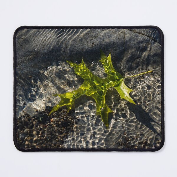 Item preview, Submerged Beauty - Sunny Ripples on a Jade Green Oak Leaf designed and sold by Georgia Mizuleva.