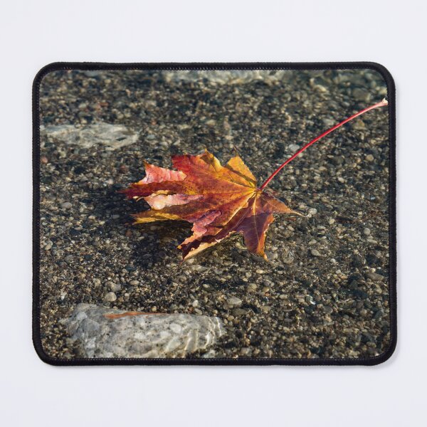 Item preview, Gently Floating Autumn - Colorful Maple Leaf in the Lake designed and sold by Georgia Mizuleva.