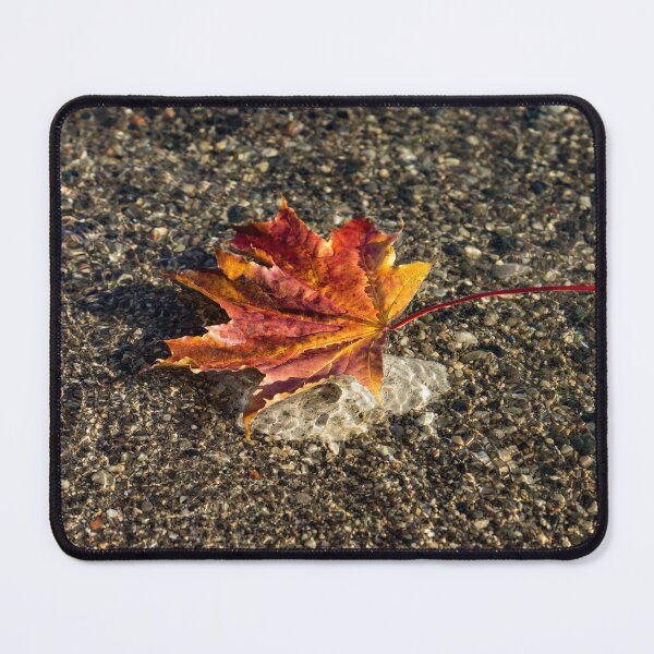 Item preview, Gently Floating Autumn - Multicoloured Maple Leaf in the Lake designed and sold by Georgia Mizuleva.