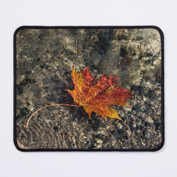 Item preview, Submerged Beauty - Sunny Ripples on a Maple Leaf designed and sold by Georgia Mizuleva.
