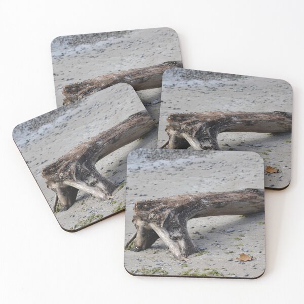 Item preview, Fallen tree on beach - downward facing dog designed and sold by NorthernSnappy.