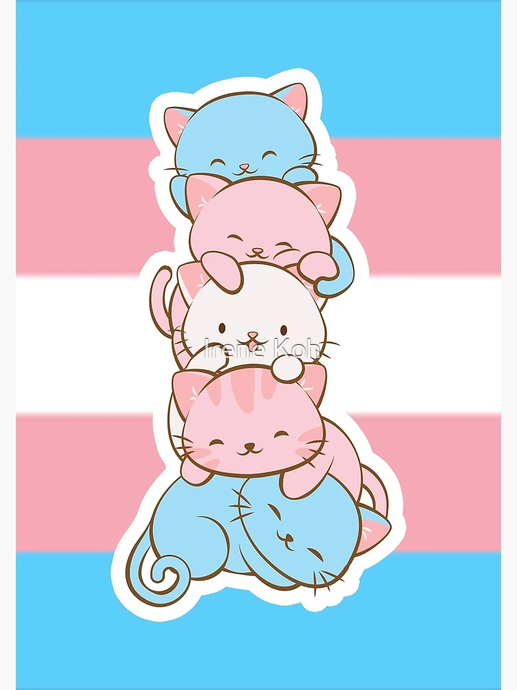 Transgender Icon - Polite Cat by FruiityPieQ on DeviantArt