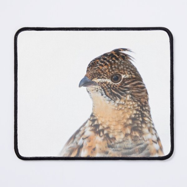 Item preview, Ruffed Grouse peeking over the Snow designed and sold by James Cumming.