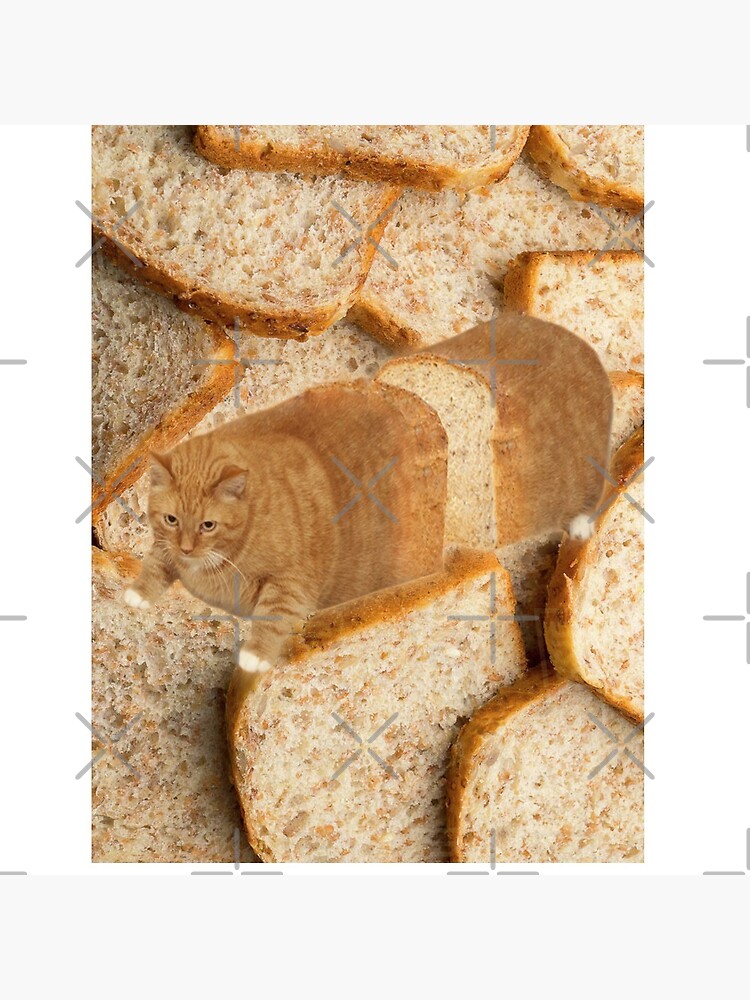 Cat Loaf by Elisecv