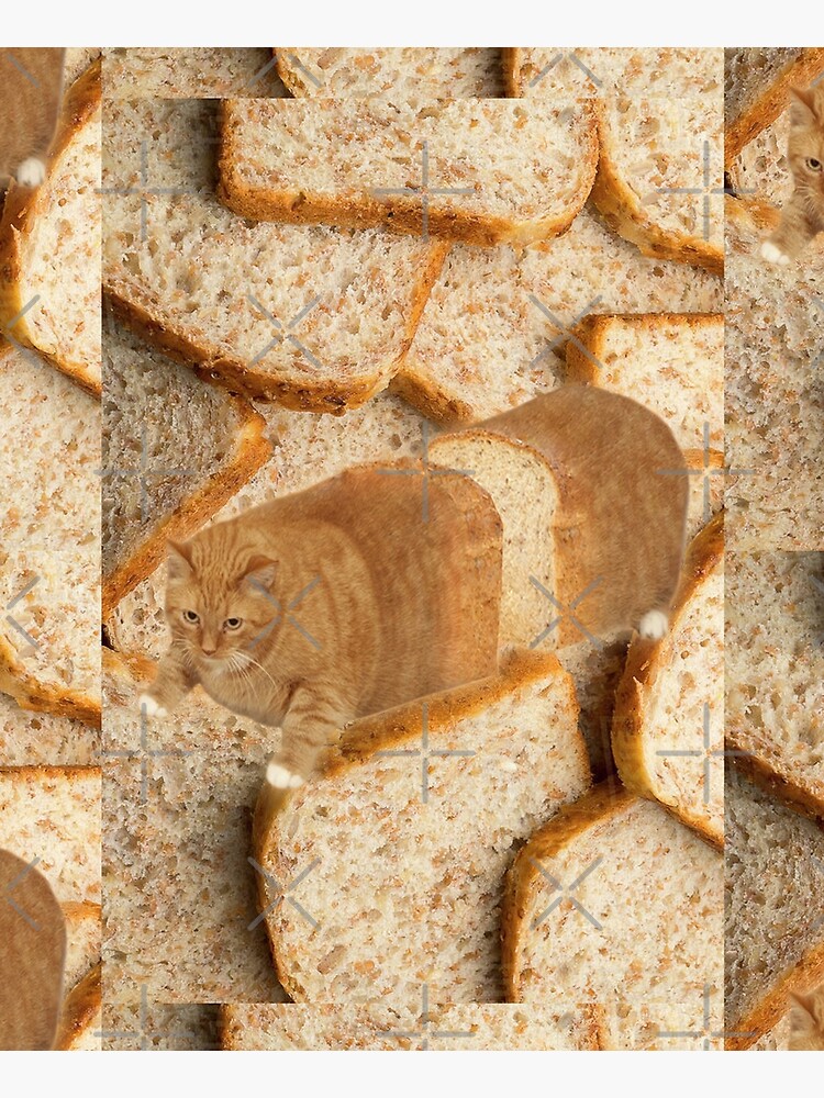 Cat Loaf by Elisecv
