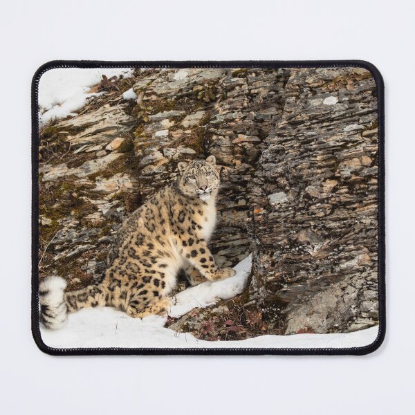 Item preview, Snow Leopard in the snow designed and sold by James Cumming.