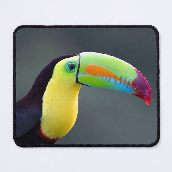 Item preview, Keel-billed Toucan - Costa Rica designed and sold by James Cumming.