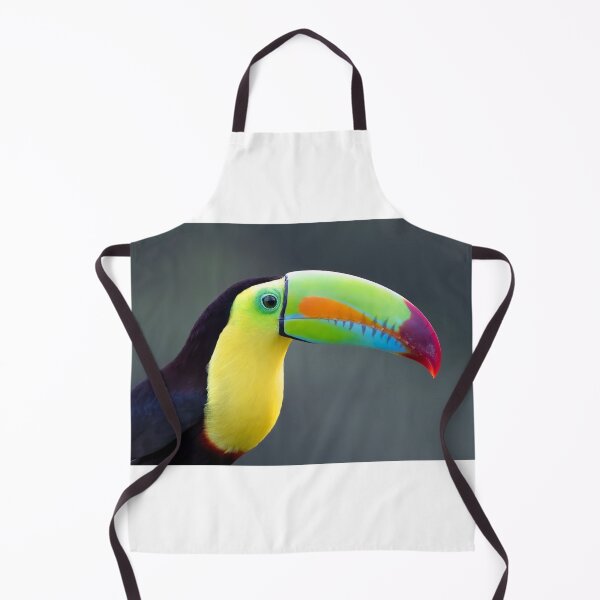 Item preview, Keel-billed Toucan - Costa Rica designed and sold by James Cumming.