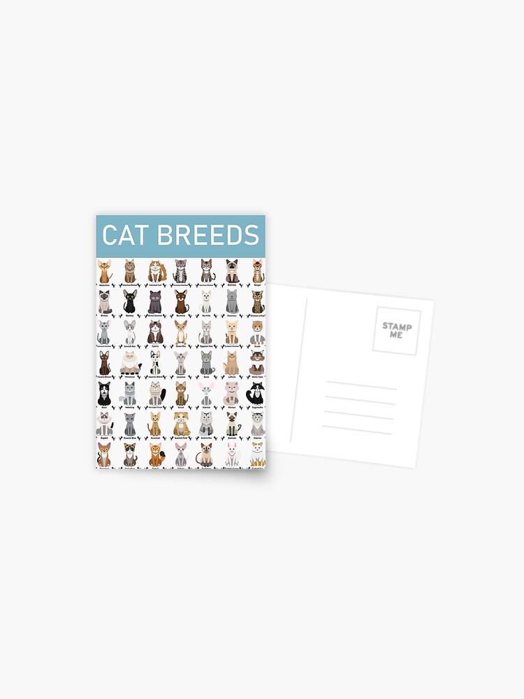Carte postale for Sale avec l'œuvre « Le monde des races de chats Munchkin  » de l'artiste surecanmakeit