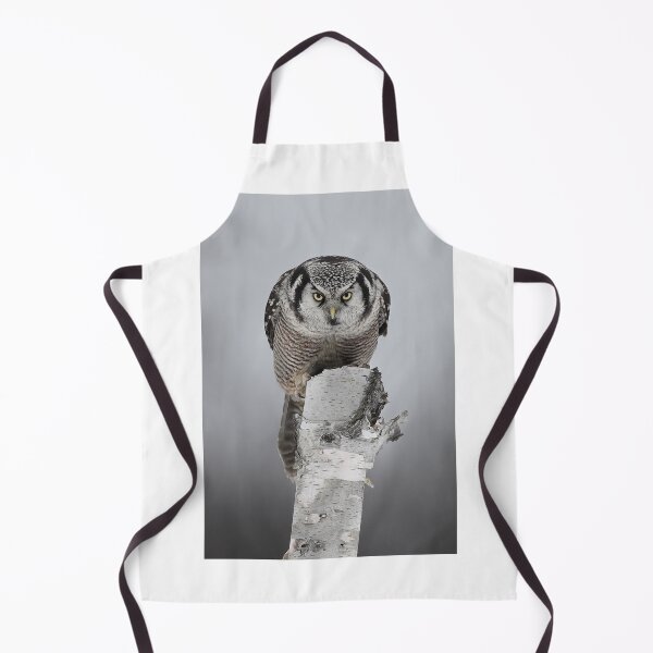 Item preview, Hawk on log portrait - Northern Hawk Owl designed and sold by James Cumming.