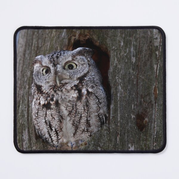 Item preview, Eastern Screech-Owl designed and sold by James Cumming.